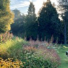 Lezing: Kloostergaarde, natuur met betekenis en geschiedenis