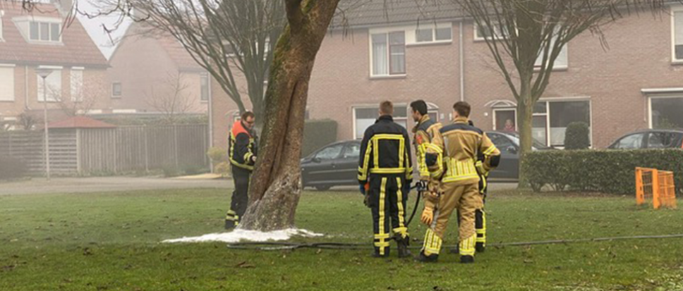 Brandweer blust brandje in boom